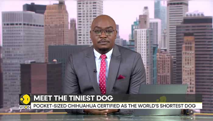 WionNews Video