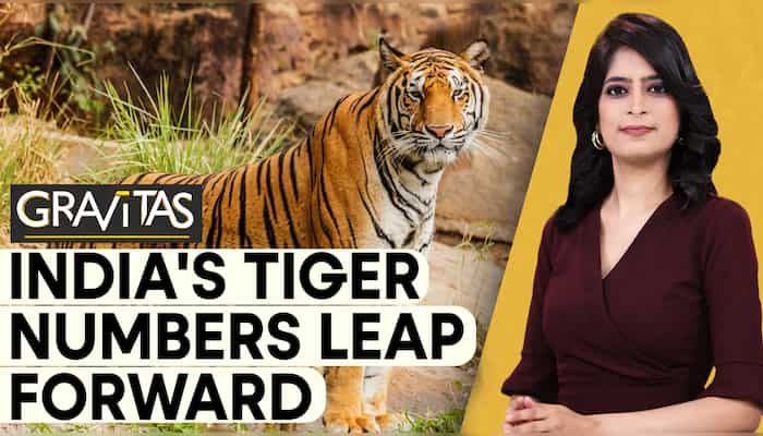 Gravitas: India now has over 3,167 Tigers