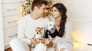 National Pet Day 2023: 7 pawsome reasons why pets rule as companions