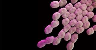 Bacteria resistant to 'last resort' antibiotic found in Los Angeles for first time  