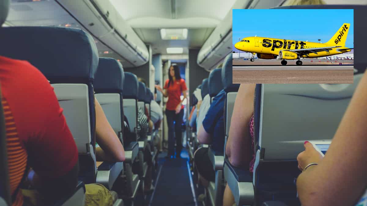 Viral | Flight attendant blasts Spirit Airlines in savage in-flight announcement Viral | Flight attendant blasts Spirit Airlines in savage in-flight announcement