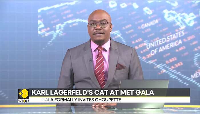 Karl Lagerfeld's cat Choupette has been invited to the 2023 Met Gala