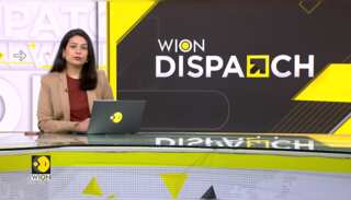 Indonesia's envoy Ina H Krisnamurthi speaks to WION on India's G20  presidency