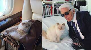 Make way for the fur queen: Karl Lagerfeld's cat Choupette to attend Met Gala 2023