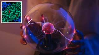 Limitless energy? Scientists discover enzyme to make electricity out of thin air