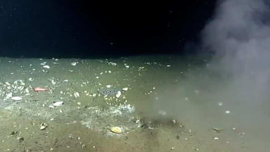 Strange leak spotted in Pacific Ocean floor, scientists say it could cause massive earthquake