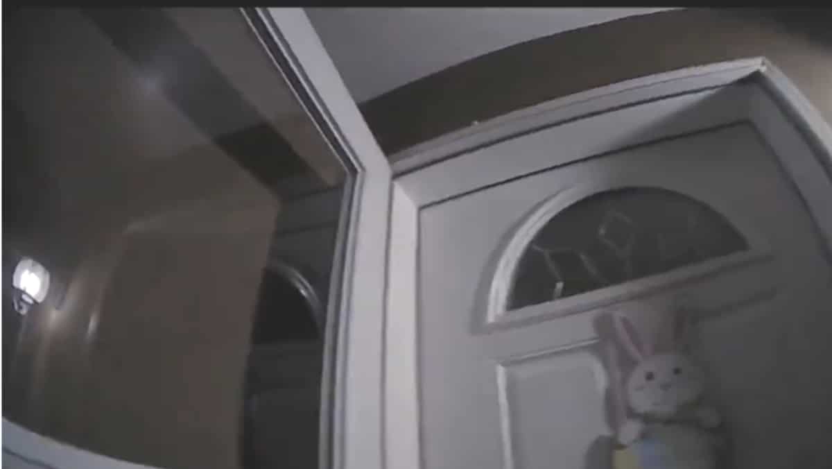VIDEO | New Mexico police turn up at wrong house, shoot dead owner as wife pleads for help