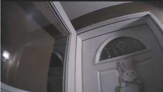 VIDEO | New Mexico police turn up at wrong house, shoot dead owner as wife pleads for help