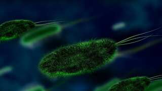 Traces of ancient viruses in DNA of humans could help fight cancer: Study