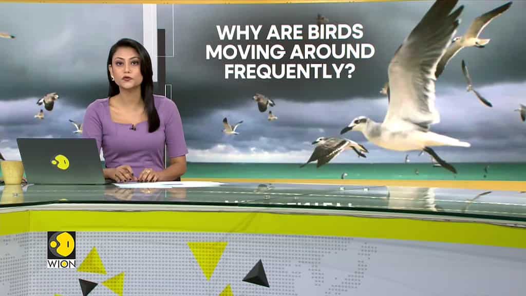 Birds are speeding up spring migration to survive