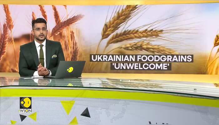 WionNews Video