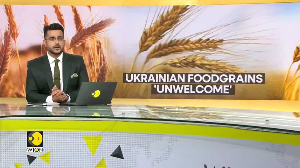 Poland and Hungry ban Ukraine grain imports