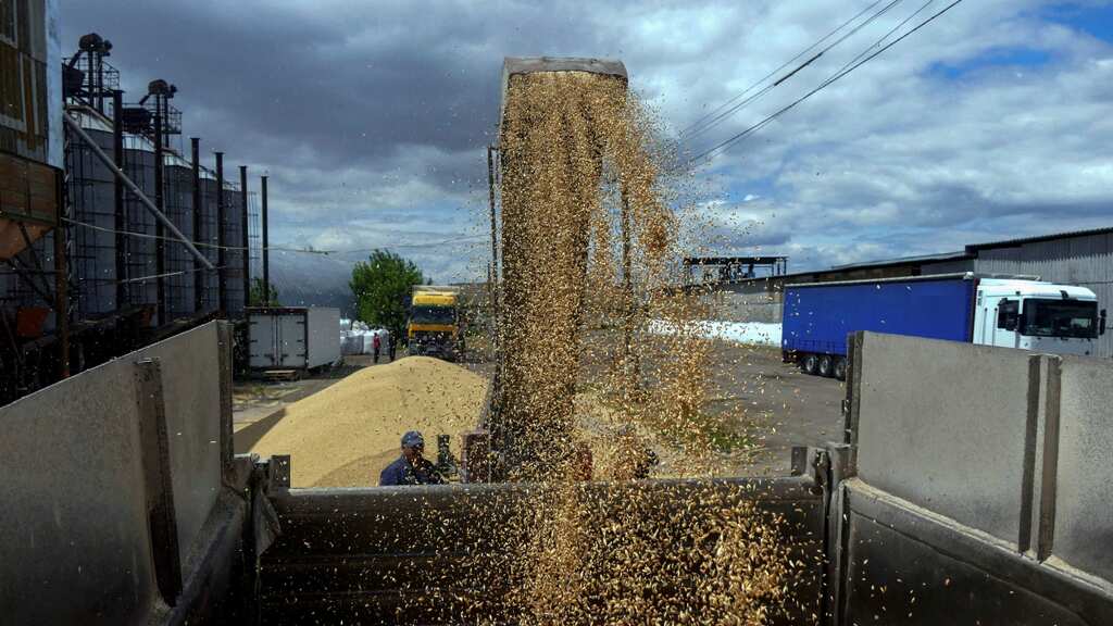 China erases tariffs on Australian barley amid easing of trade tensions