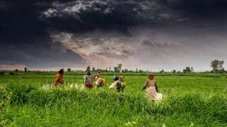 What is Kissan GPT? Here's everything you need to know about the AI chatbot helping farmers earn profits