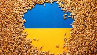 As import bans mount Ukraine seeks re-opening of grain transit via Poland
