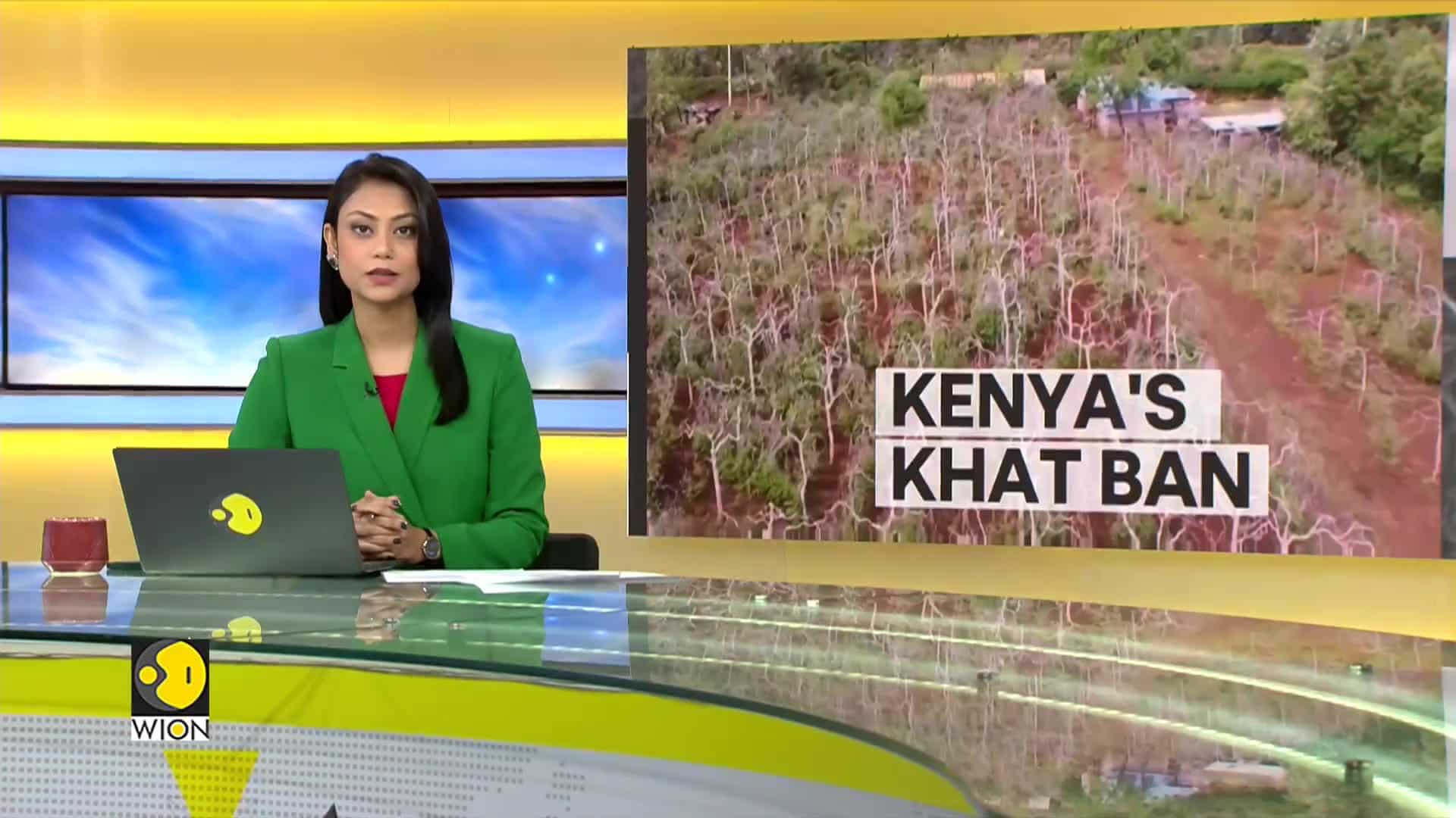 Kenyan drug authority classifies Khat as a drug World News