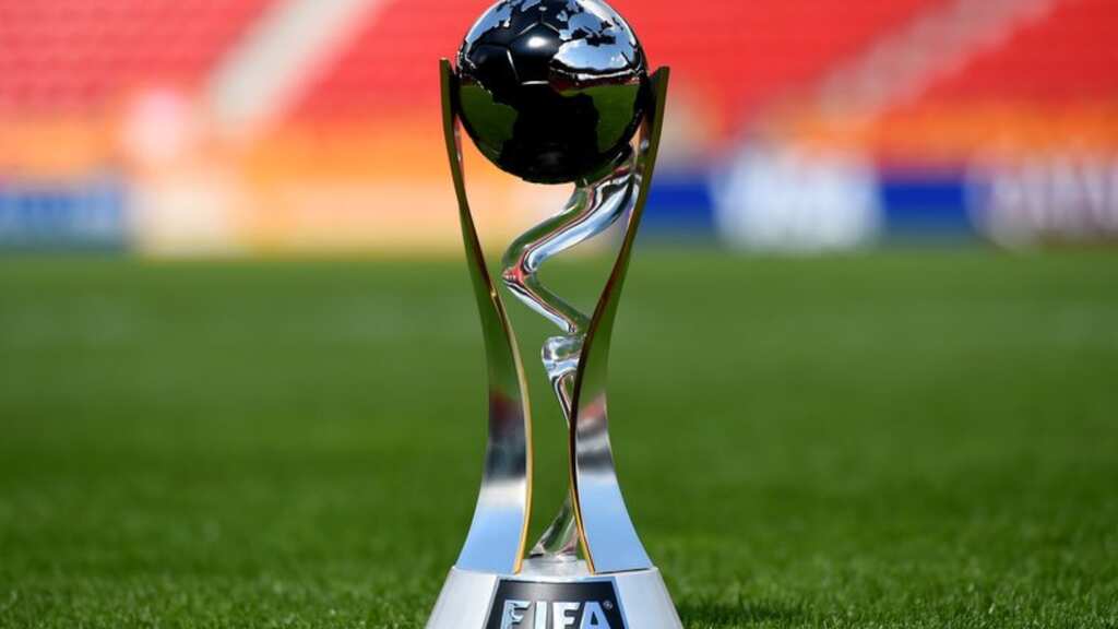 Argentina replaces Indonesia as U-20 World Cup host, says FIFA