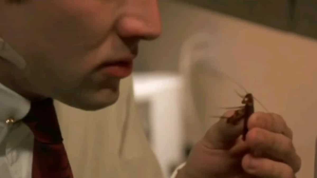 When Nicolas Cage ate live cockroaches on camera: 'Will never do that again'