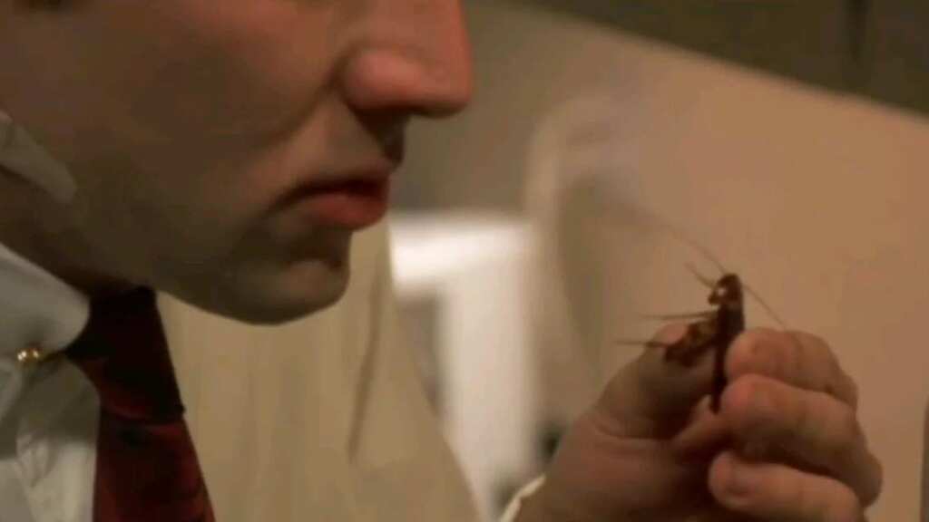 When Nicolas Cage ate live cockroaches on camera: 'Will never do that again'