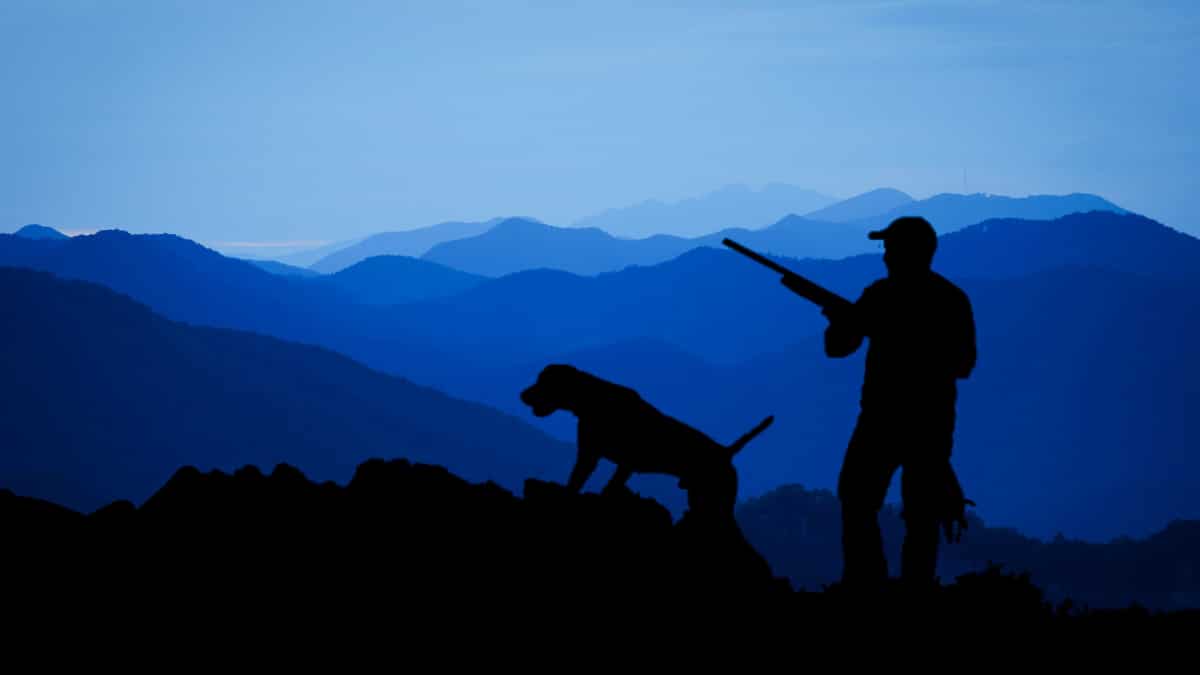 Mistaken for a hare, Chinese man dies in hunting accident Mistaken for a hare, Chinese man dies in hunting accident