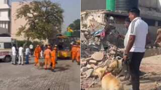 India: At least four dead, several injured after three-storey rice mill collapses in Haryana