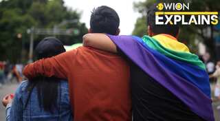 Explained: Why same-sex couples in India are seeking conjugal rights when homosexuality is decriminalised