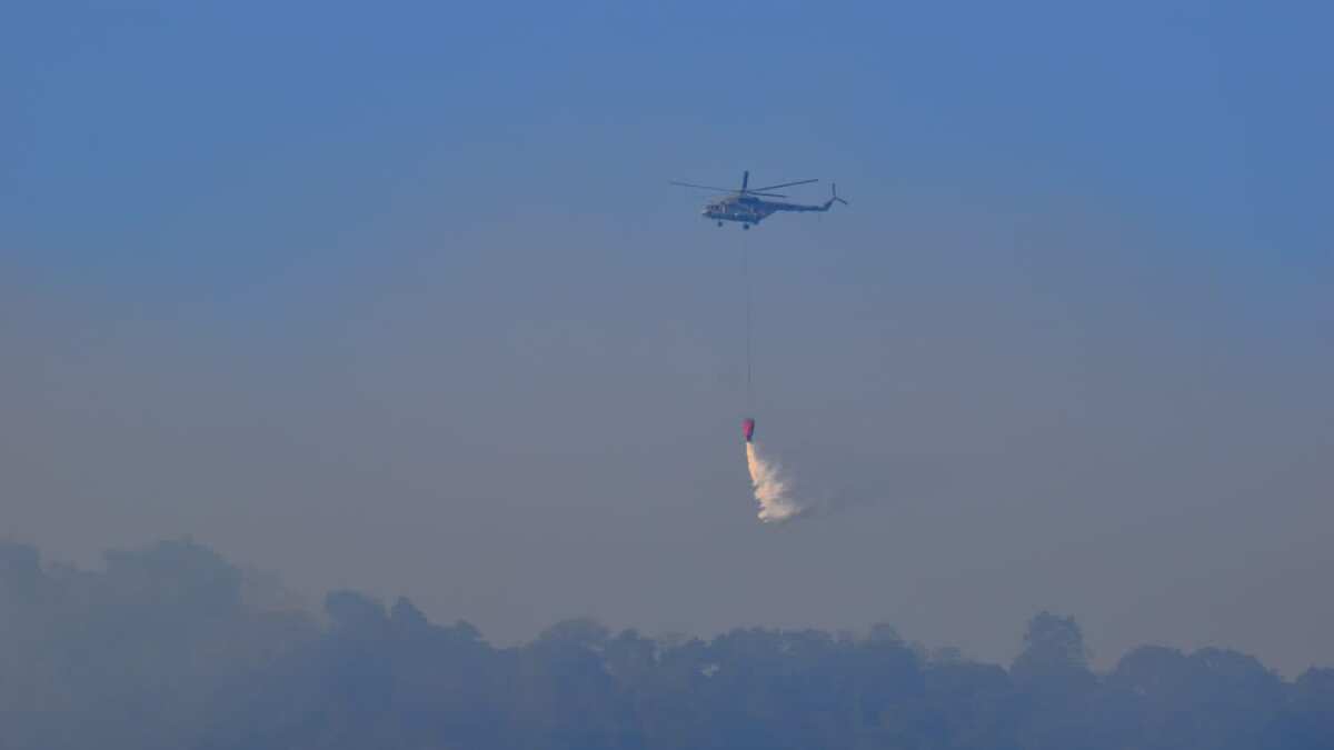 Thanks to Air Force and forest dept, forest blaze put out after week-long efforts; 200 hectares lost