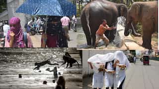 Sweltering heat melts much of Asia with temperatures likely to rise further