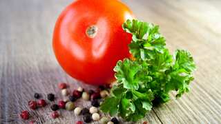 Israeli researchers develop tomatoes capable of growing in extreme drought-like conditions