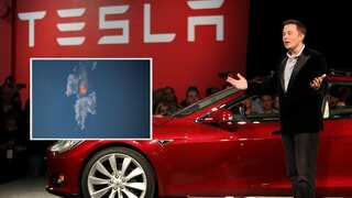 Tesla shares fall as Elon Musk backs self-driving cars