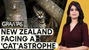 Gravitas | New Zealand plans 'cat-killing' competition