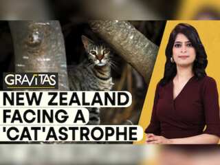 Gravitas | New Zealand plans 'cat-killing' competition