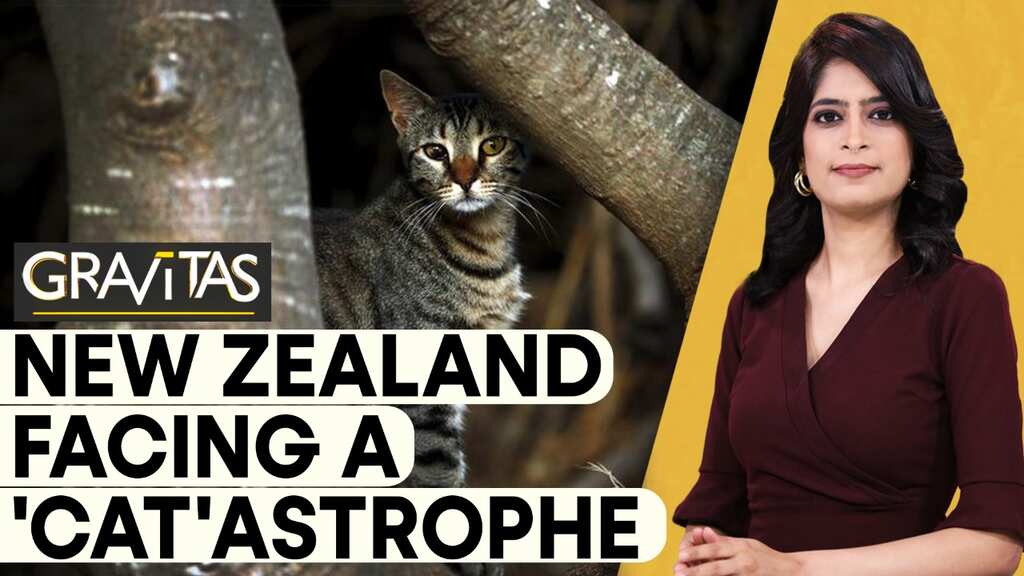 Gravitas | New Zealand plans 'cat-killing' competition