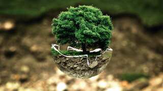 World Earth Day 2023: Check history, theme, significance & interesting facts about our planet