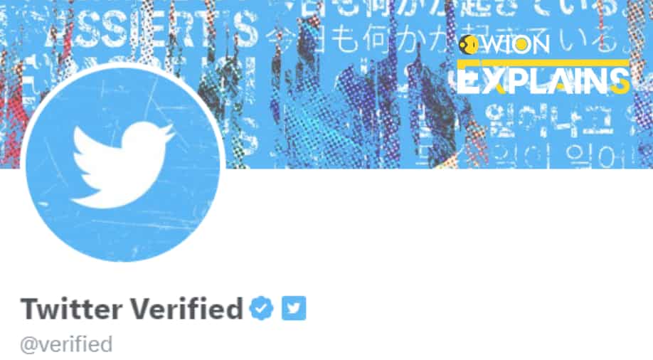 Explained | Twitter yanks blue ticks but there's still a way to see if an account is real
