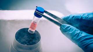 Are men responsible for 'Motherhood on Ice' a.k.a., women freezing their eggs?