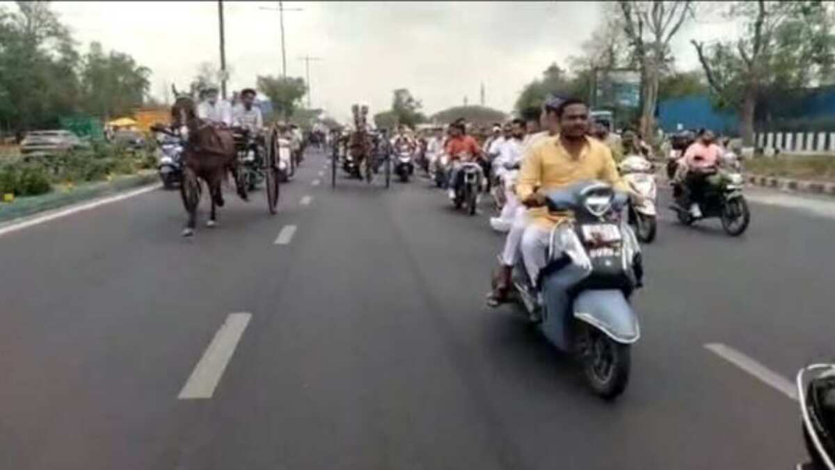 Video | Ten arrested for horse-cart racing on central Delhi road Video | Ten arrested for horse-cart racing on central Delhi road