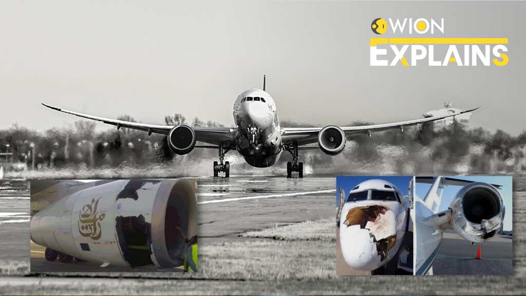 Explained: Why experts are warning that upcoming Navi Mumbai int'l airport is 'highly dangerous'
