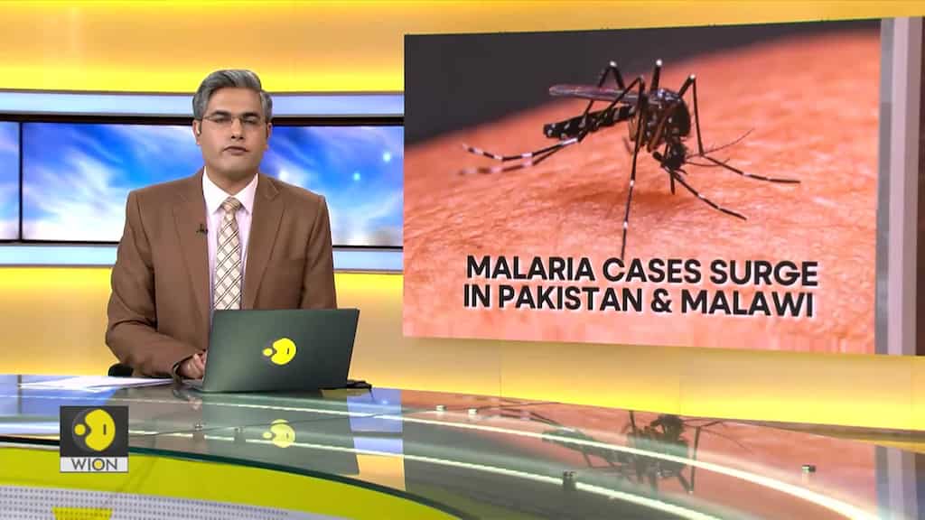 Malaria cases are surging in Pakistan and Malawi | Here's why