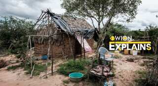 Explained: All about the macabre Kenya starvation death cult, whose founder led 90 to mass graves