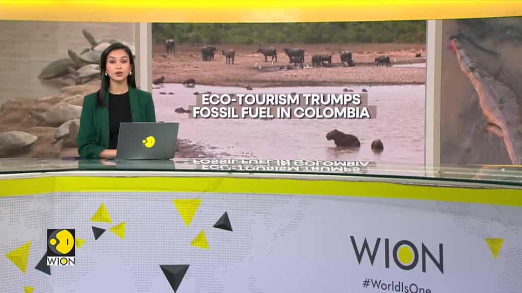 Colombia trades out fossil fuels for eco-tourism-based economy