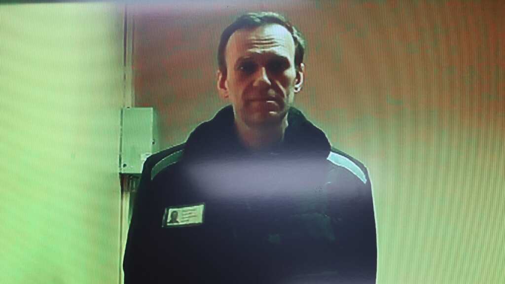 Navalny says he faces 30 more years in prison in 'absurd' terrorism case
