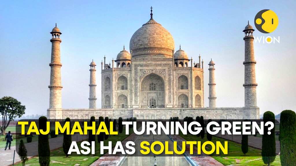 Iconic Taj Mahal turning green due to insects; ASI gives solution