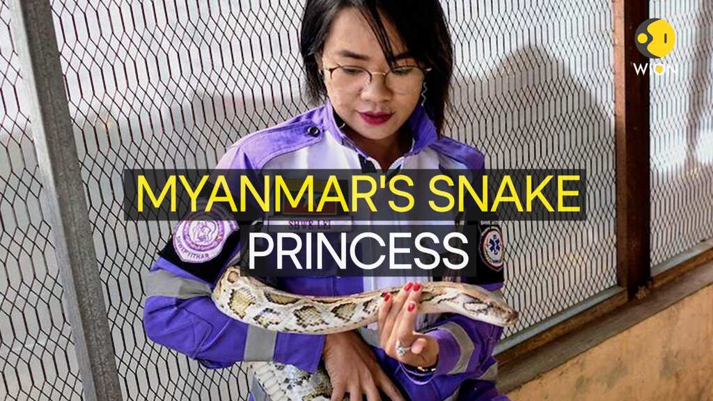 Pythons on your porch? Call Myanmar's 'Snake Princess'