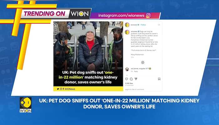 WionNews Video
