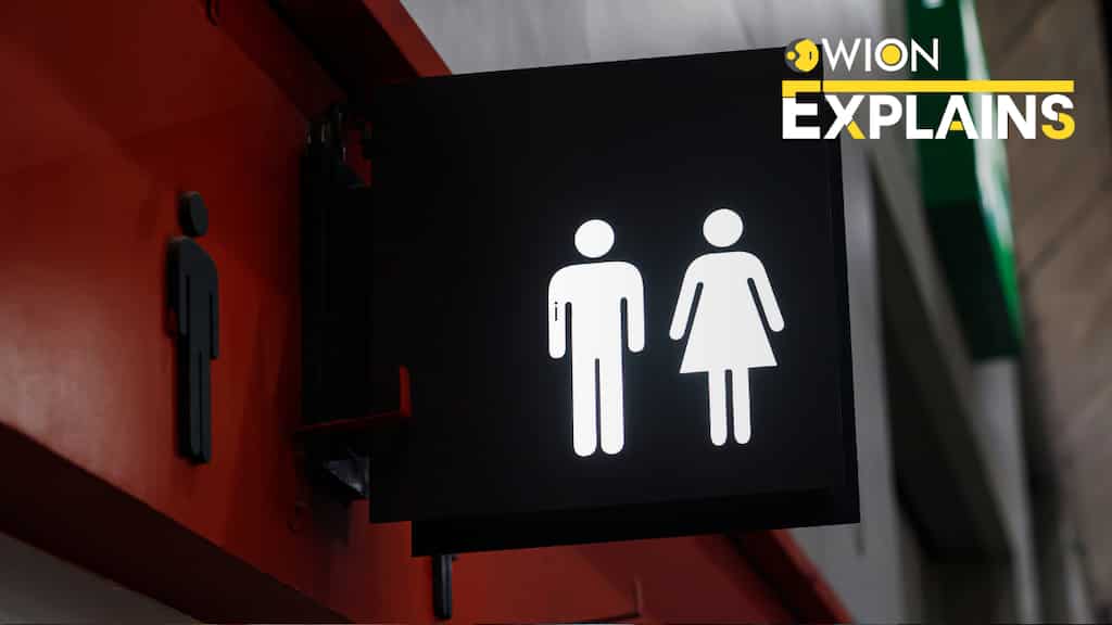 Explained: How bathrooms became the new battlefield for political war on gender