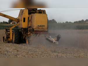 EU nations reach deal 'in principle' to transit grain from Ukraine