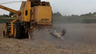 EU nations reach deal 'in principle' to transit grain from Ukraine