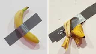 South Korean student eats artwork of banana duct-taped to wall because ‘he was hungry’