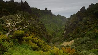 Love remote jobs? British wildlife group has an opportunity on one of world's most isolated places